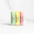 Load image into Gallery viewer, Unscented / Lip Balm  - Beaver Creek Honey
